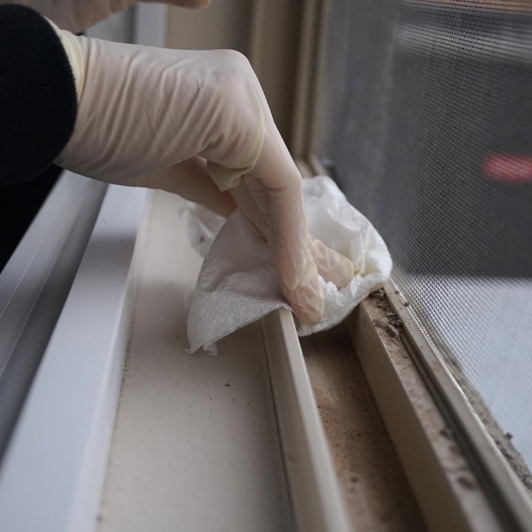 Home cleaning services in Newcastle, WA