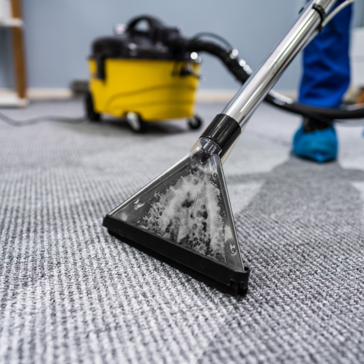Home cleaning services in Newcastle, WA