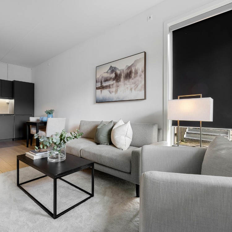 Home cleaning services in Newcastle, WA